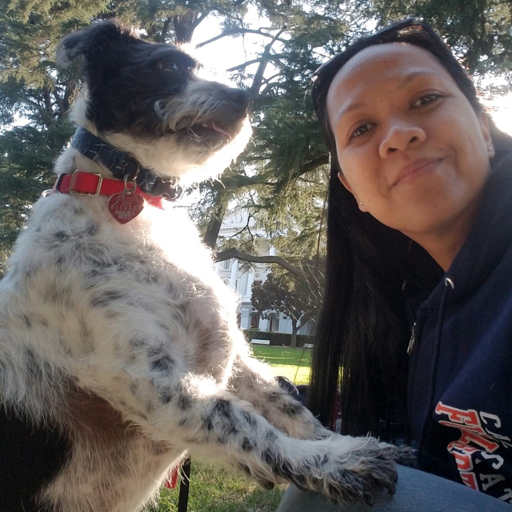 Meet your Posher, Pamela